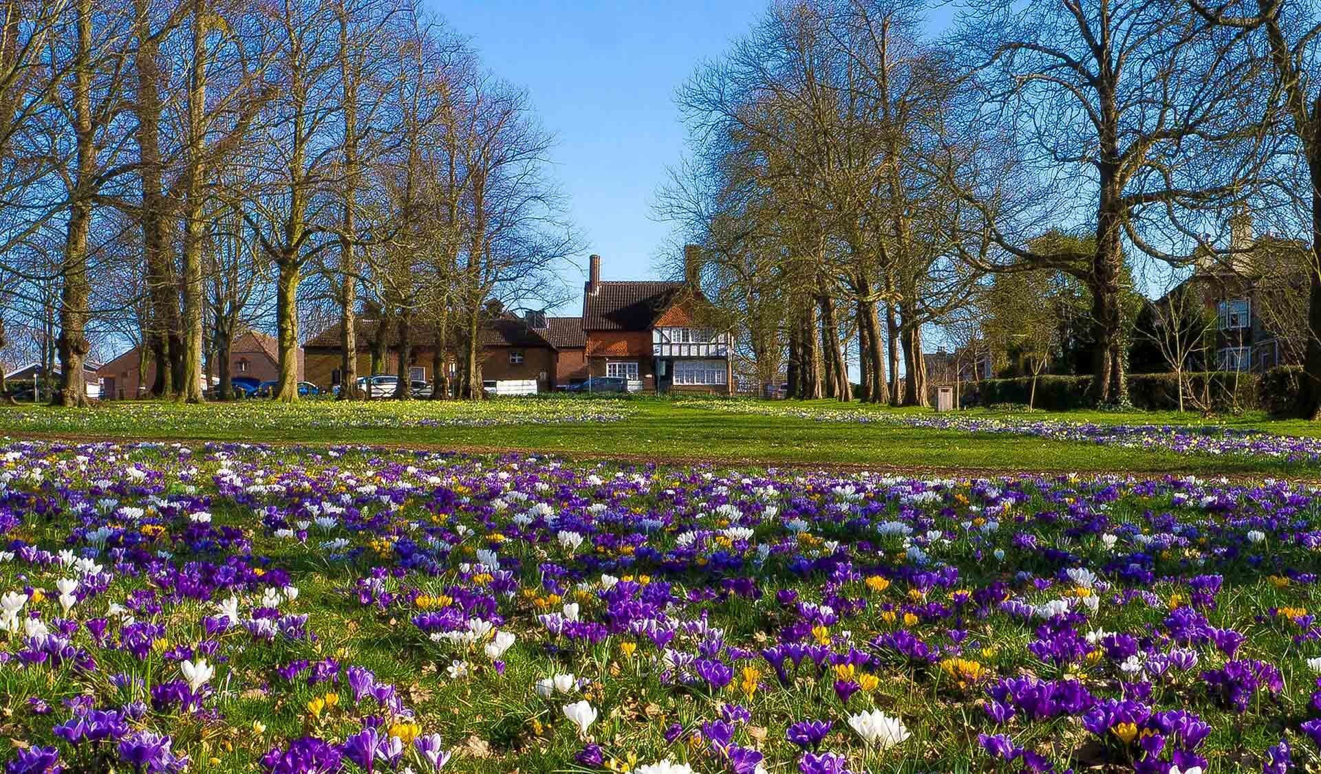 Guildford